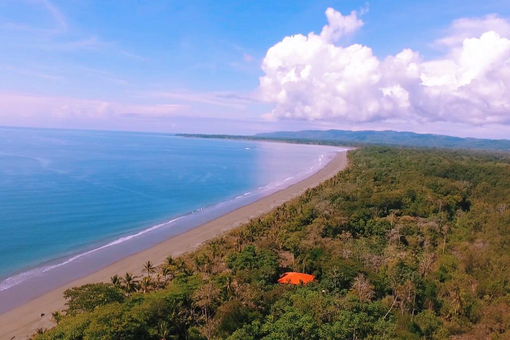 Punta Preciosa Bed & Breakfast Puerto Jimenez Exterior photo