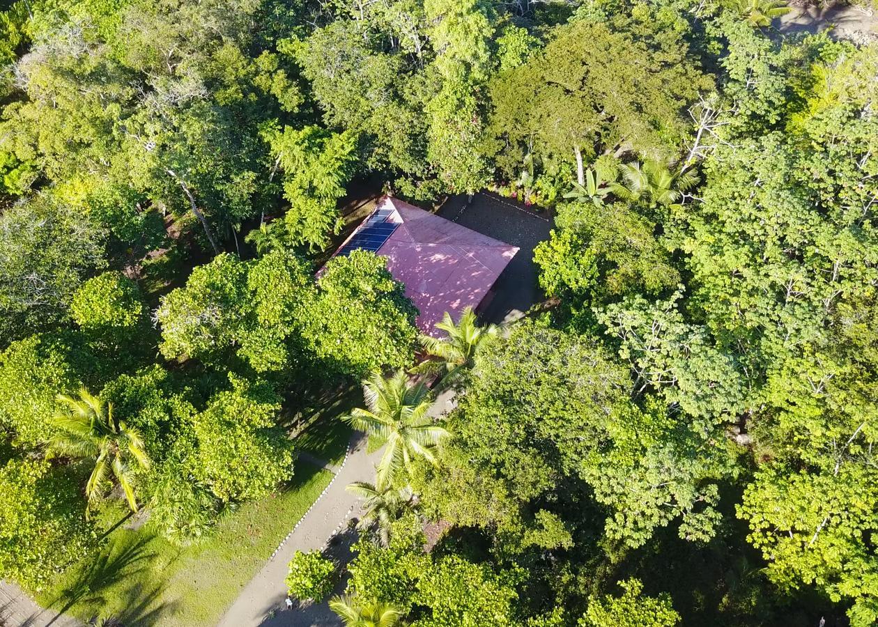 Punta Preciosa Bed & Breakfast Puerto Jimenez Exterior photo